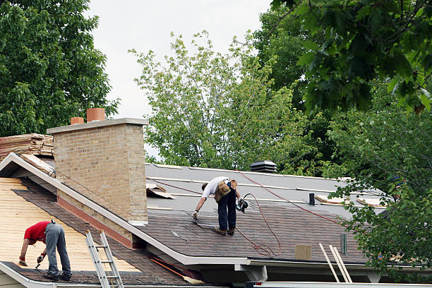 Best Storm Damage Roof Repair  in Bells, TN